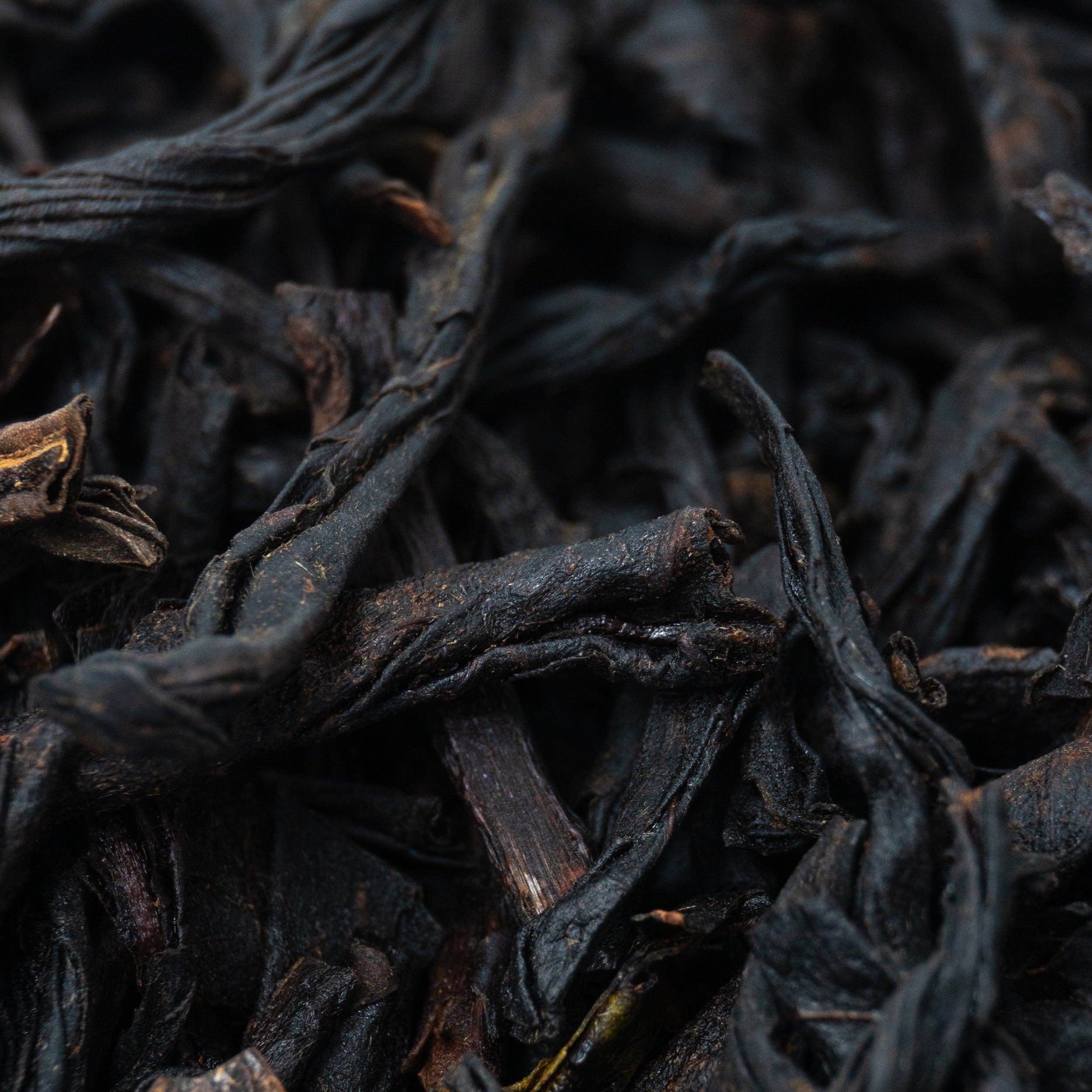 Lapsang Souchong