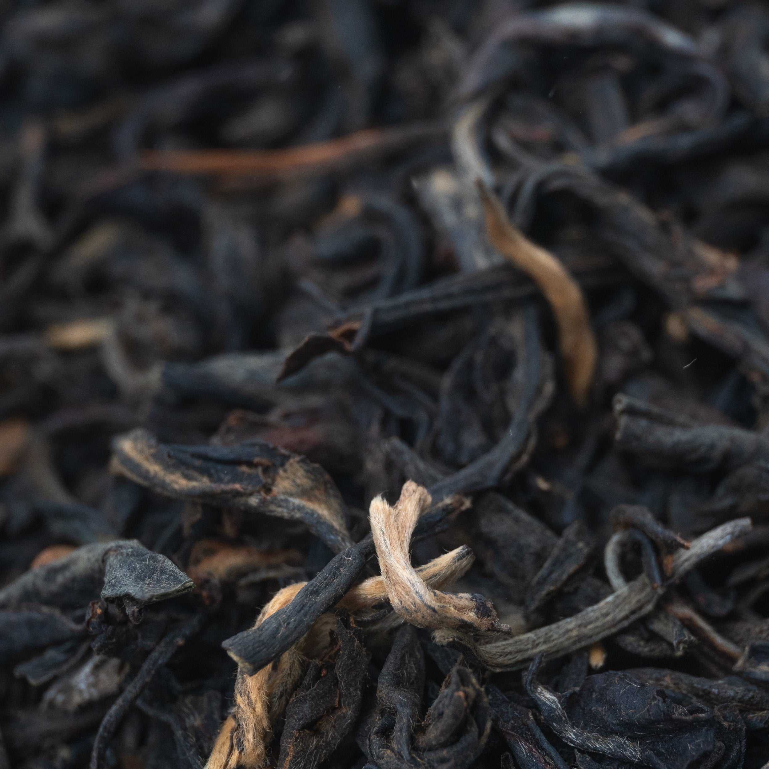 Yunnan Amber