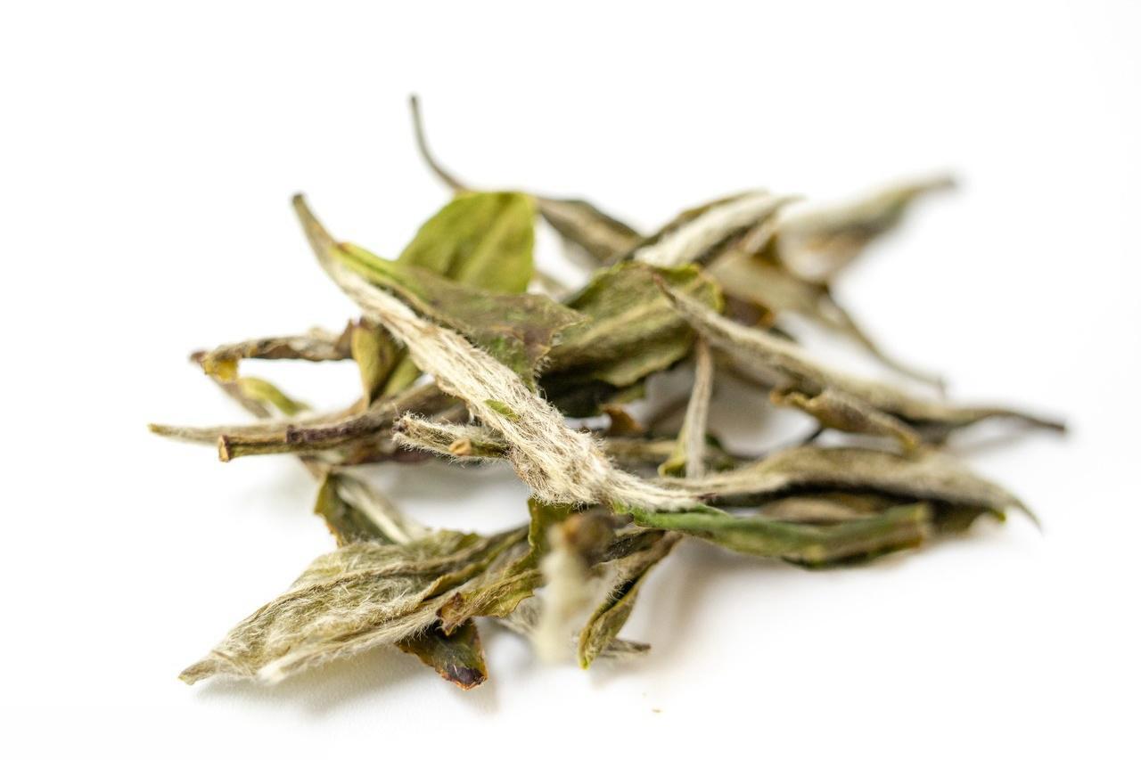 Discover the Flavor of Premium White Tea | Teaisle™