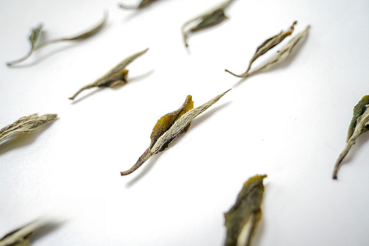 The Complete Guide to White Tea: Understanding Its Four Main Types | Teaisle™