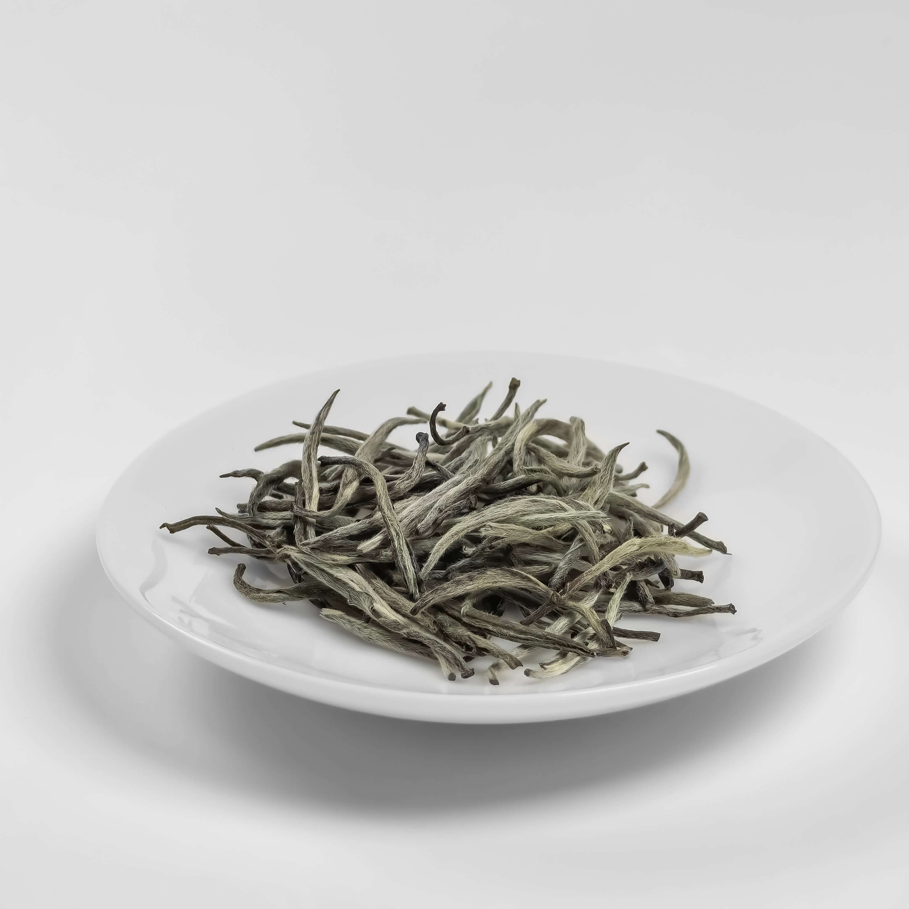 Silver Needle White Tea