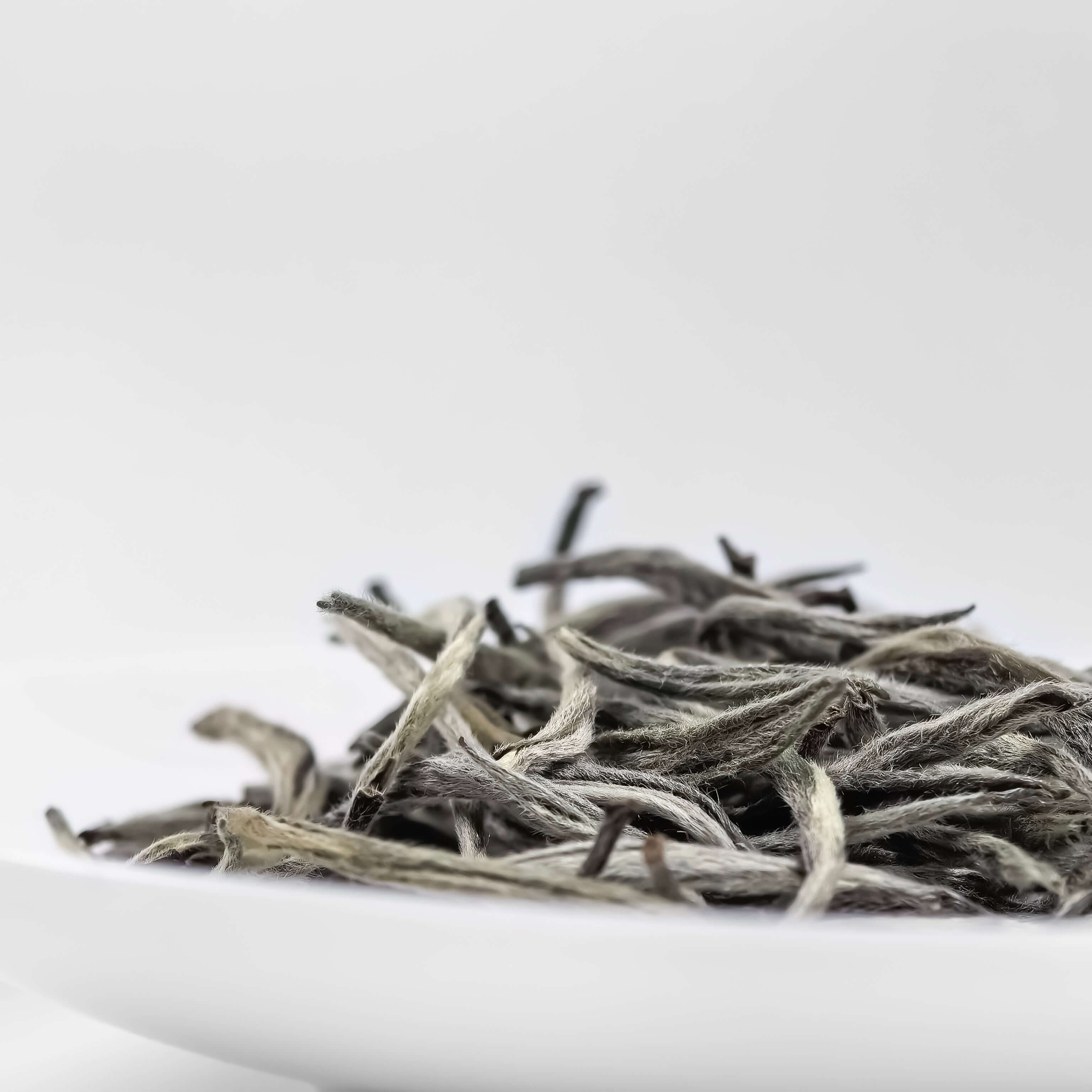 Silver Needle White Tea