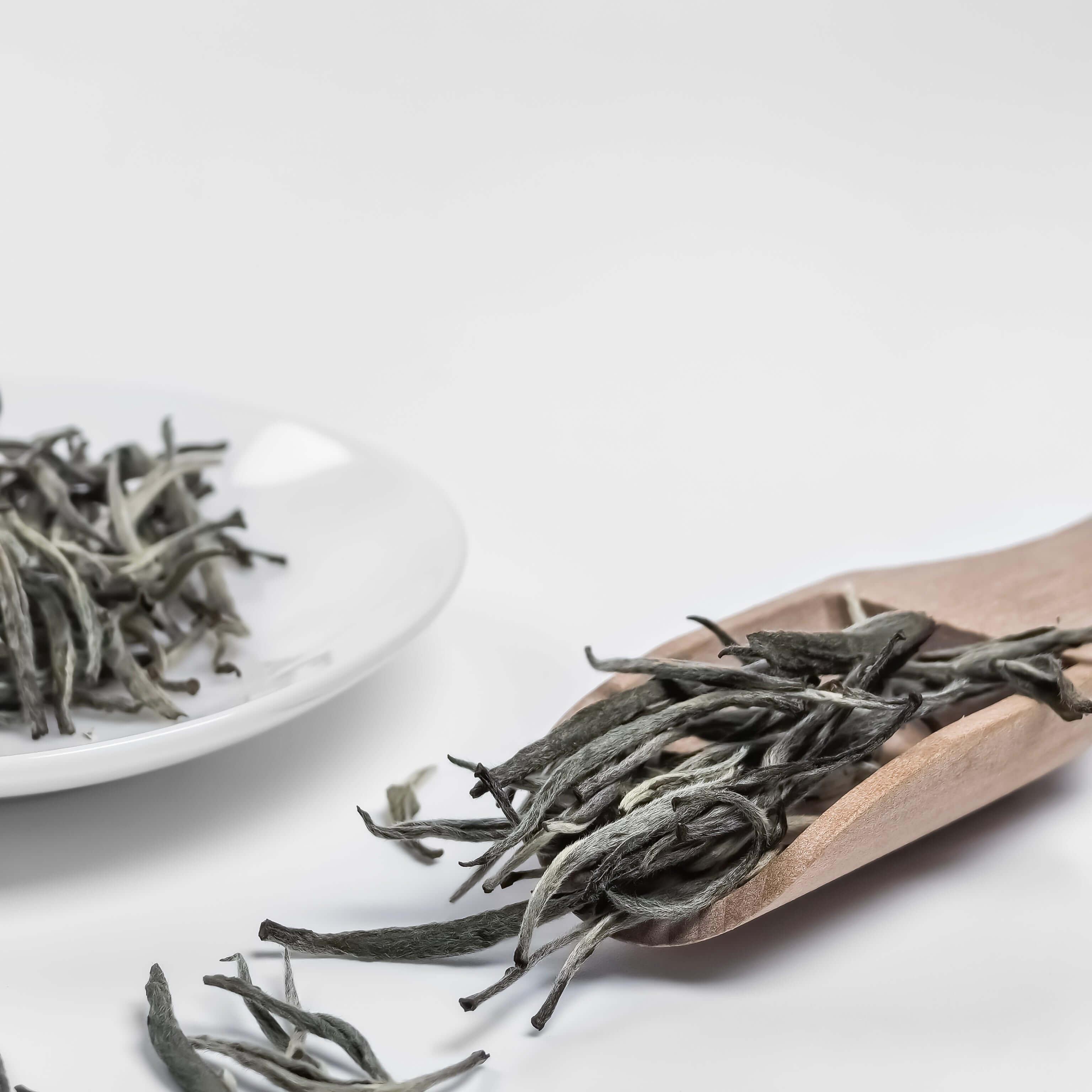 Silver Needle White Tea