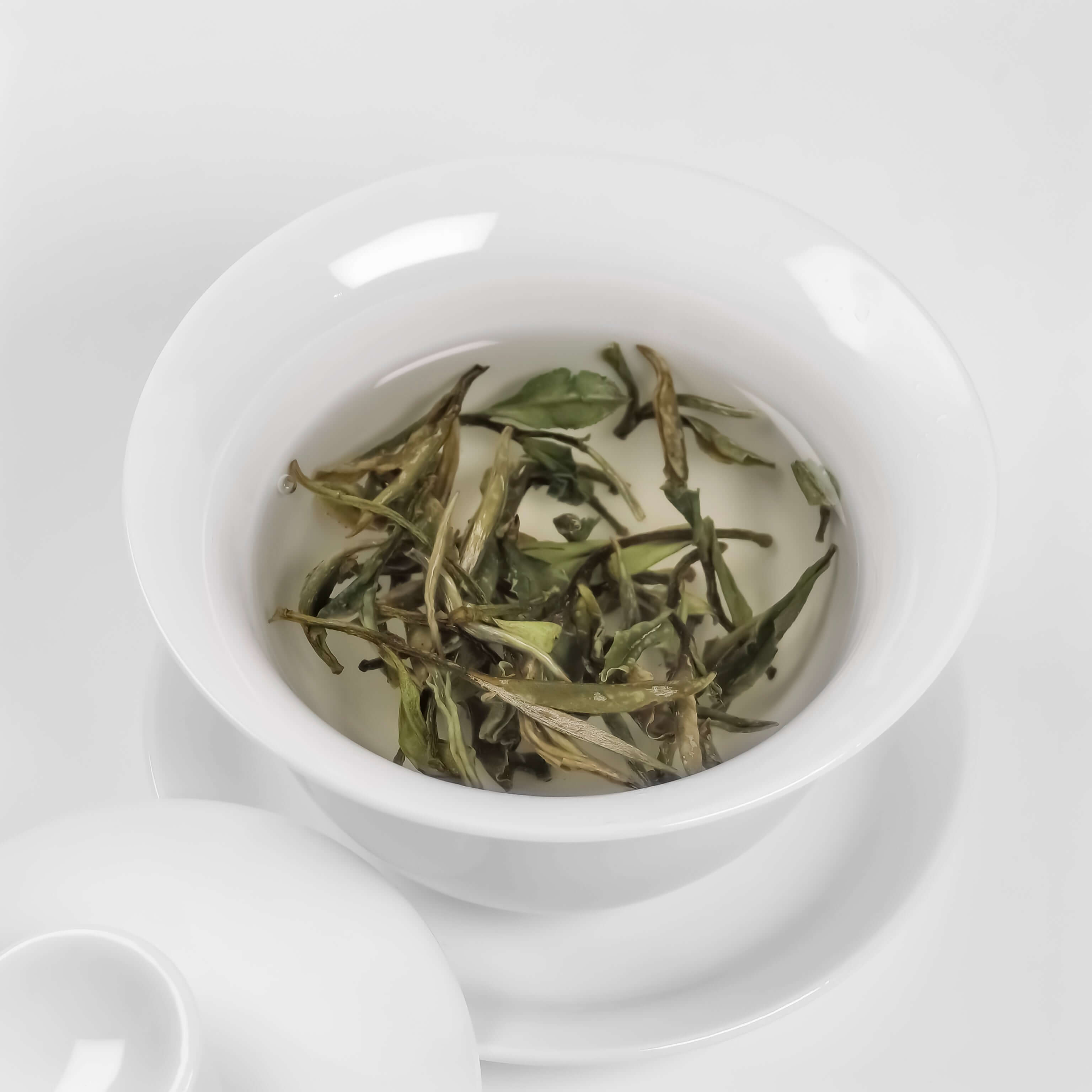 White Peony Tea