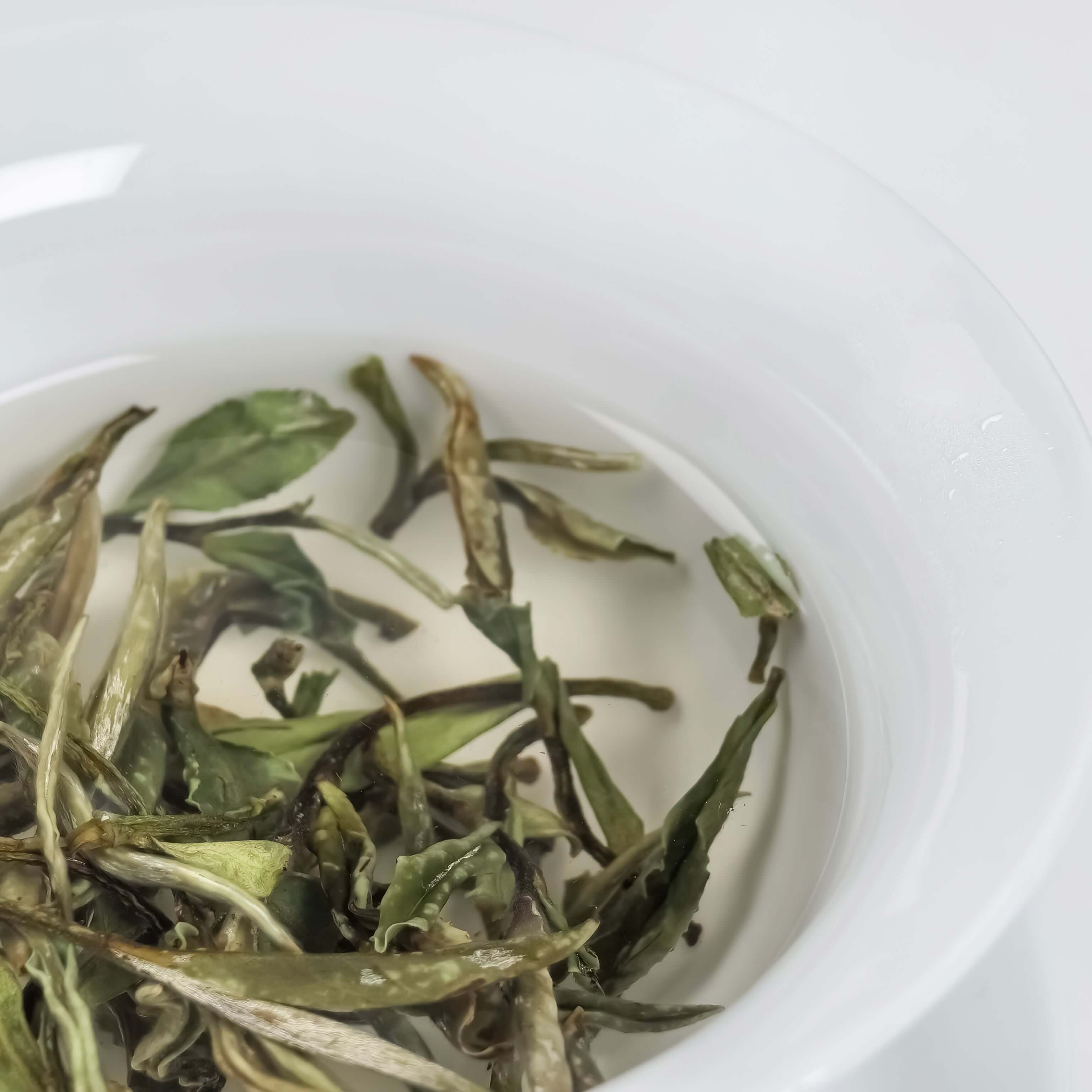 White Peony Tea