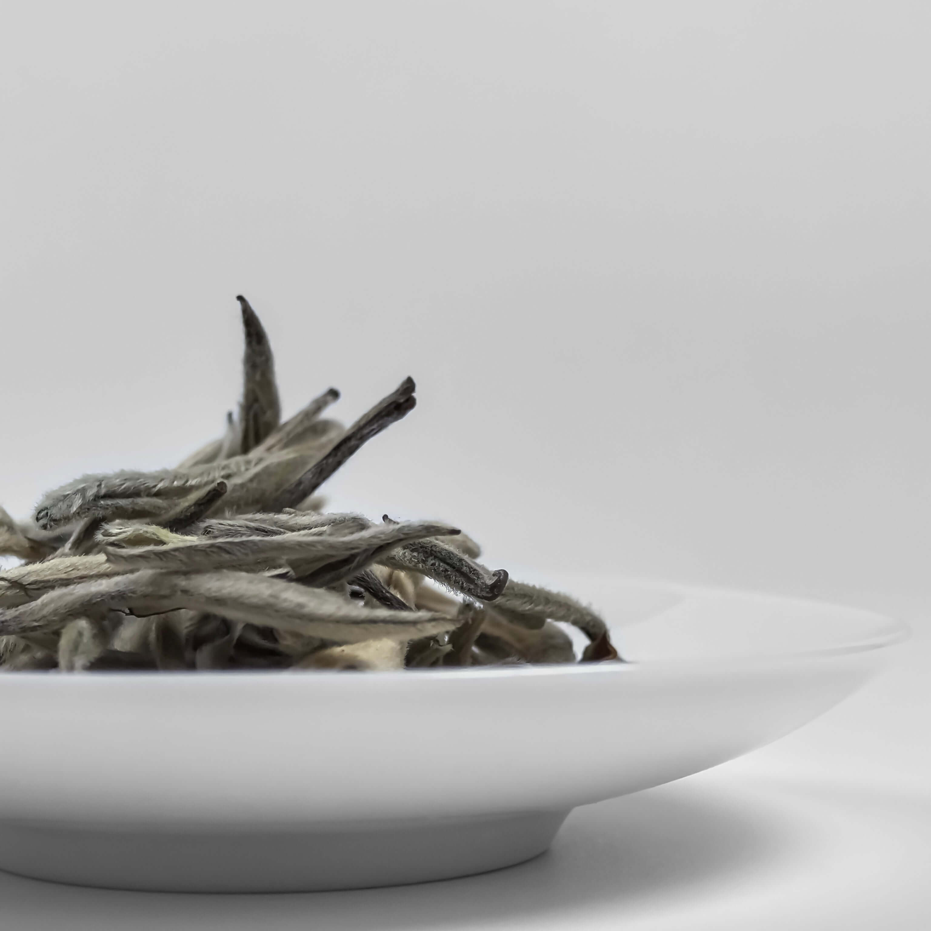 Moonlight Beauty White Tea - Teaisle